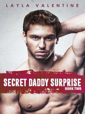 cover image of Secret Daddy Surprise, Book 2